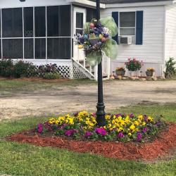 Colorful "Welcome" sign with floral butterflies in garden bed next to yellow daisy, ferns, and lush greenery