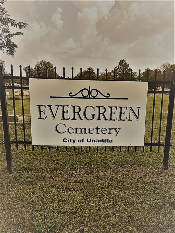 Evergreen Cemetery, city of Unadilla
