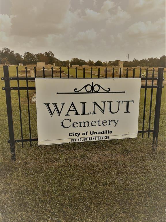 Walnut Cemetery, city of Unadilla